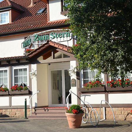 Parkhotel Zum Stern Oberaula Dış mekan fotoğraf