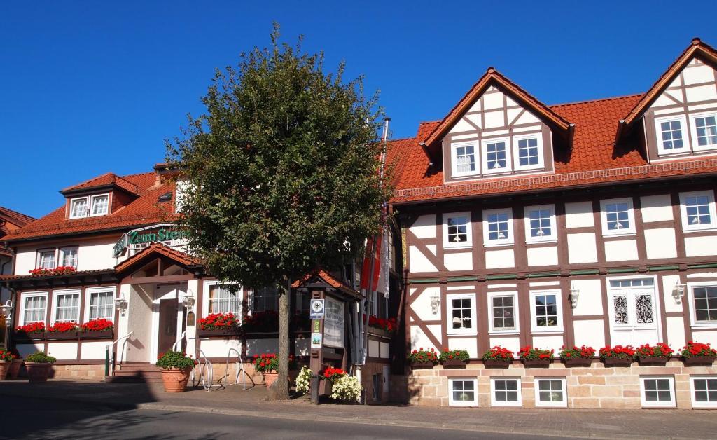 Parkhotel Zum Stern Oberaula Dış mekan fotoğraf
